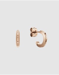 Daniel Wellington - Elan Earrings