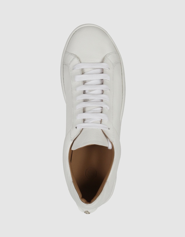 Brando - Caleb Sneakers