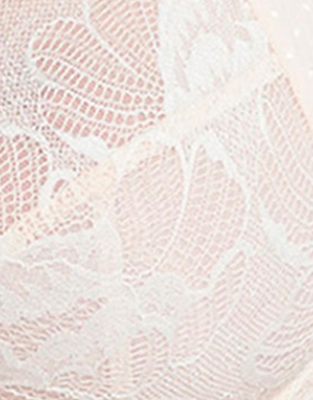 Sans Complexe - Capucine Wired Two-Tone Lace Bra