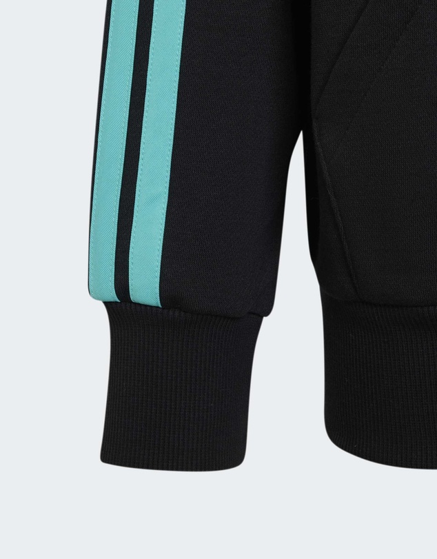 adidas Performance - MERCEDES - AMG PETRONAS FORMULA 1 TEAM DNA FULL ZIP HOODY Kids