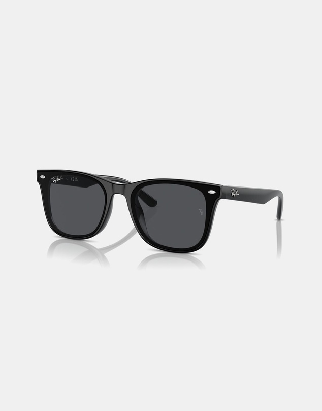 Ray-Ban - 0RB4420