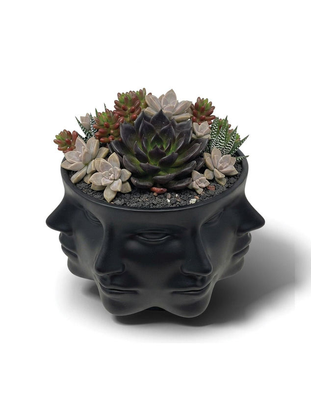 Urban Attitude - Urban Attitude Face Planter - Matte Black