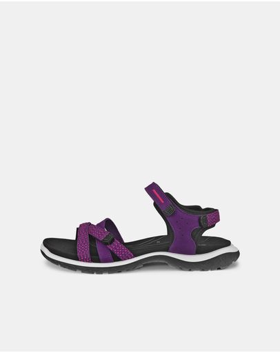 IMPERIAL PURPLE/BEETROOT/IMPERIAL PURPLE