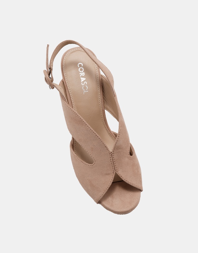 CoraSol - Clam