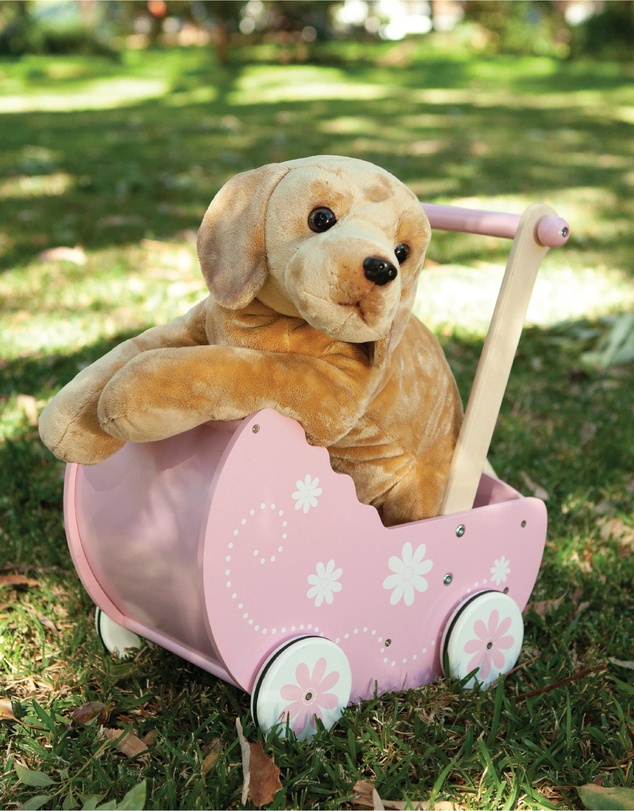 Animal Allsorts - Myles The Labrador
