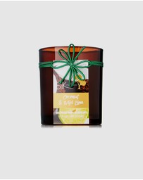 Silk Oil of Morocco - Cocout & Lime Bath and Body