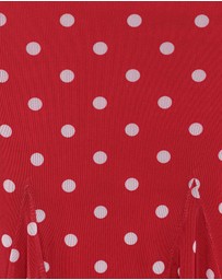 Petal & Pup - Tullia Mesh Midi Skirt - Red Polka Dot