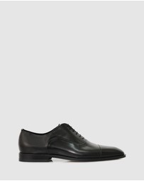 Brando - Barnet Lace Ups
