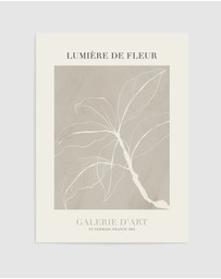 Olive et Oriel - Lumiere De Fleur II