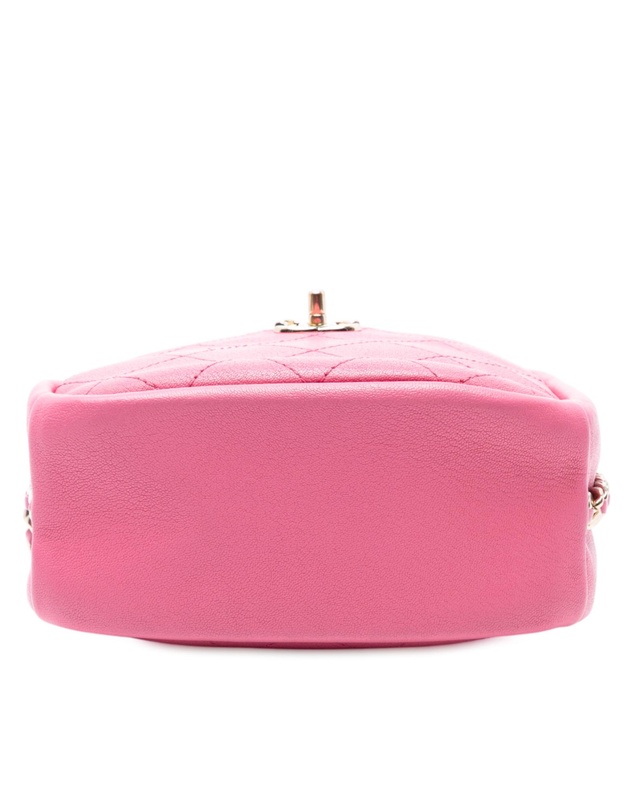 Pre-Loved by Azura Reborn - Pre-Loved Stitched Goatskin Casual Trip North South Camera Case