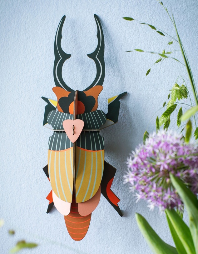 Studio Roof  - Wall Art Beetles A4