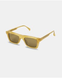 AM Eyewear - Steeb Large