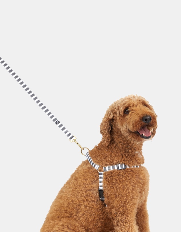 Mog & Bone - Classic Hemp Lead - Charcoal Hamptons Stripe