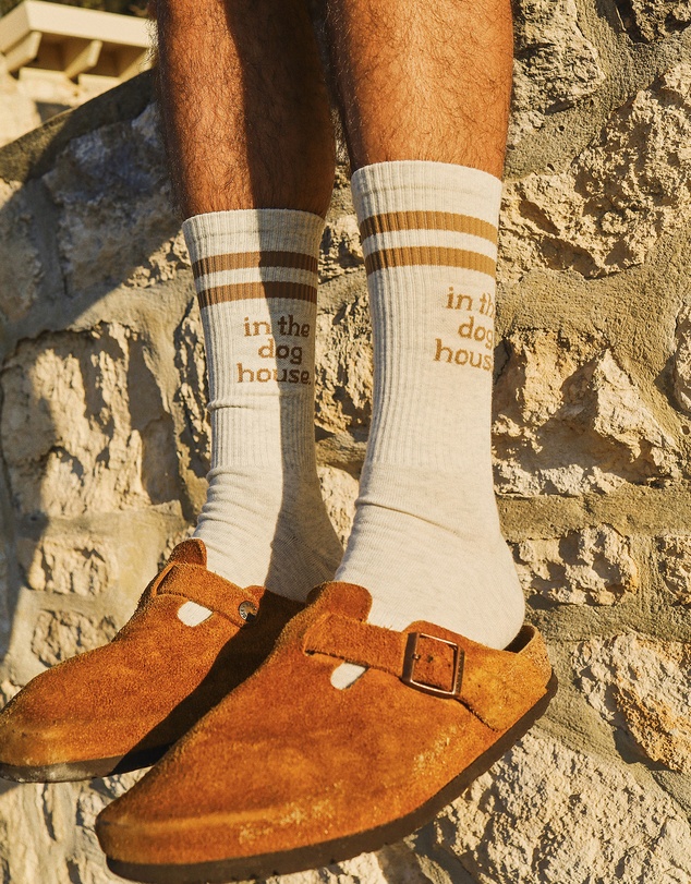 Skwosh - Dog House Socks in Brown Stripe