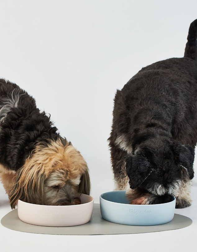 Lilly + Dash - Dog Eat and Drink Set – 2 Bowls + Lick Insert + Blue Placemat Set