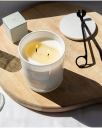 Palm Beach Collection - Clove & Sandalwood Scented Candle 420g