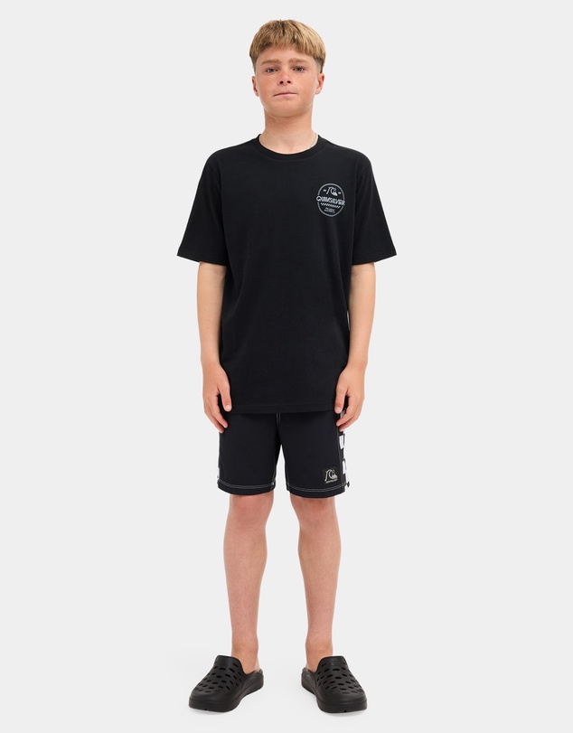 Quiksilver - Boys 8 to 16 Original Stamp T-Shirt