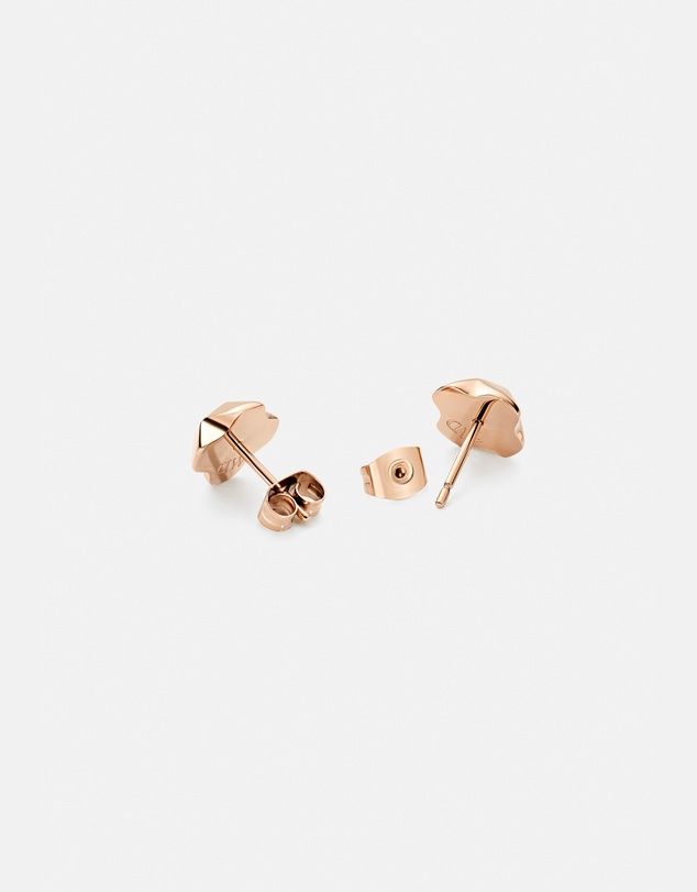 Daniel Wellington - North Star Earrings Small Enamel