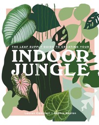 Brumby Sunstate - Indoor Jungle