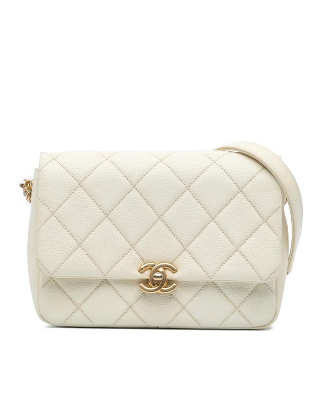 Pre-Loved by Azura Reborn - Pre-Loved chanel Chanel 19 Crossbody Bag Quilted