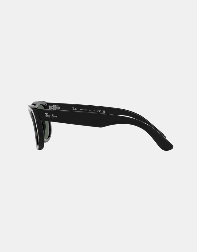 Ray-Ban - 0RBR0502S Wayfarer Reverse