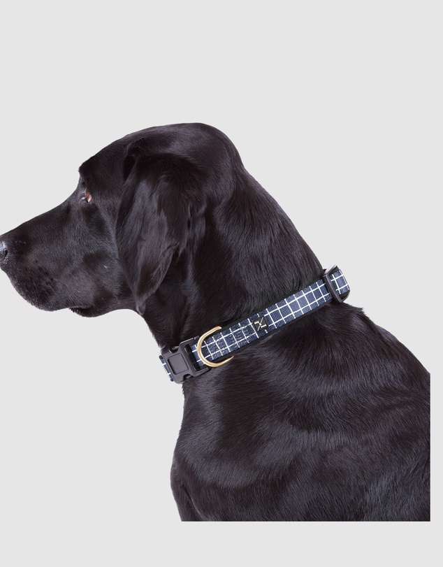 Mog & Bone - Neoprene Collar - Navy Check Print