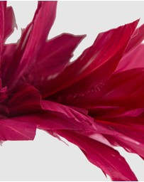 Max Alexander - Modern Burgundy Racing Fascinator