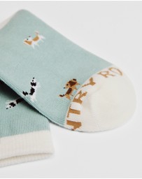 Country Road - Dog Sock