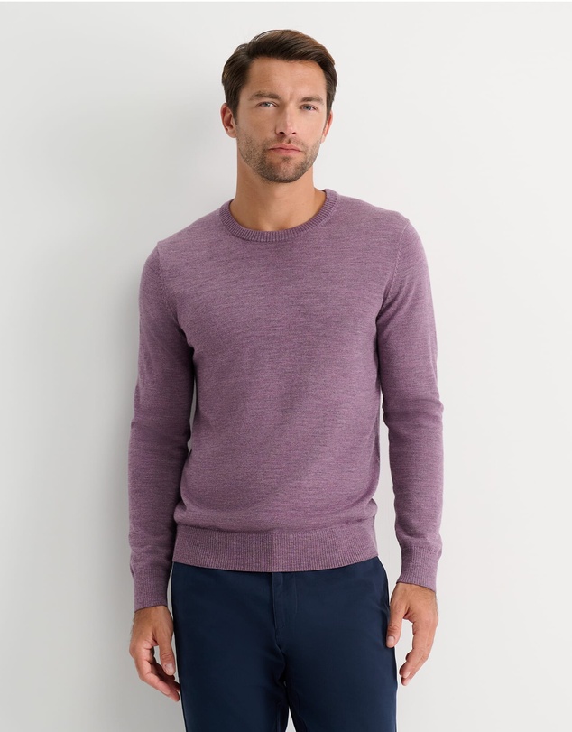 Sportscraft - Merino Crew Neck Knit