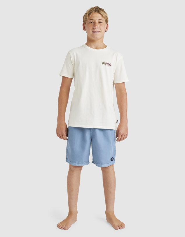 Billabong Kids - Boys 8 to 16 All Day Overdye Layback 16