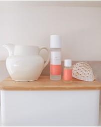 Palm Beach Collection - Posy 100ml Room Mist