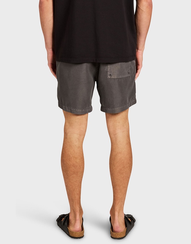 Academy Brand - Teamster Boardy