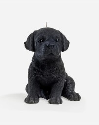 Love Ally - Labrador Candle