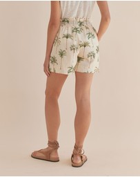 Amelius - Palma Elasticated Short