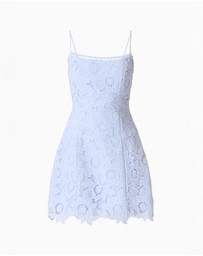 Elliatt - Lacy Tulip Mini Dress