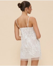CHANCERY - Sierra Sheer Lace Mini Dress