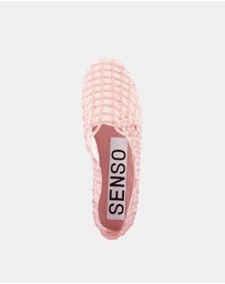 Senso - Jellie