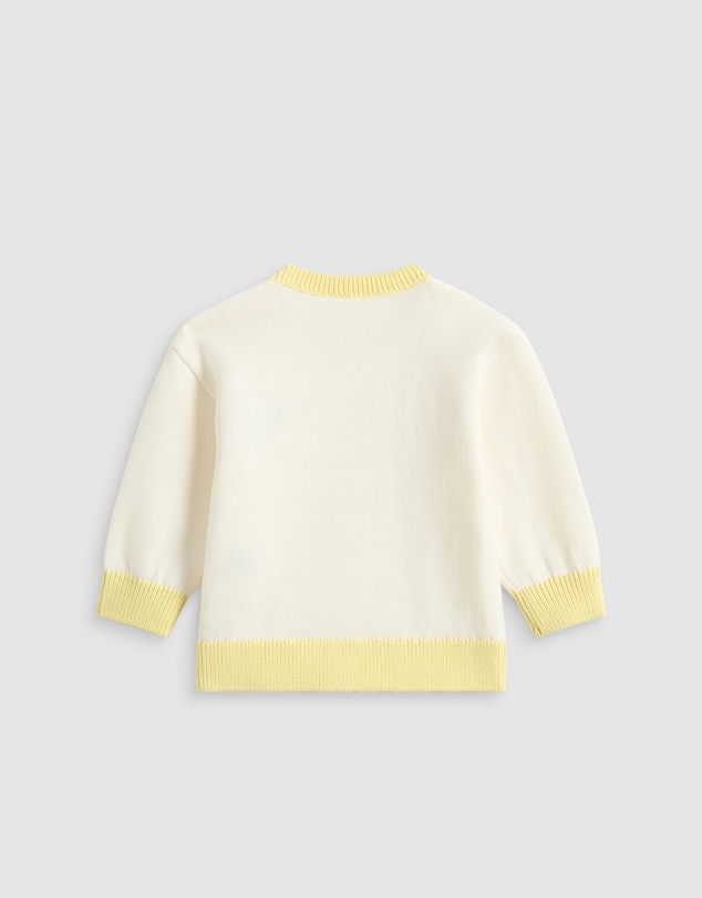 Seed Heritage - Contrast Rib Knit Sweater