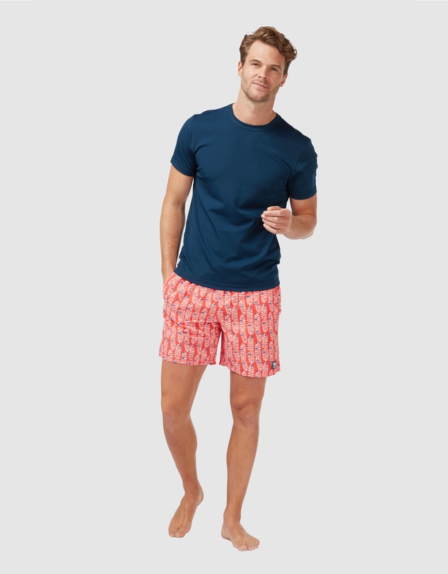 Tom & Teddy - Short Sleeve Rash Vest