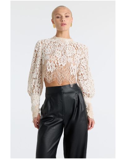 114201 IVORY