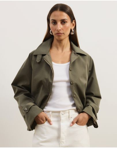 Olive