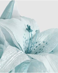 Max Alexander - Large Blue Flower Headband Fascinator
