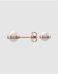Daniel Wellington - Aspiration Earrings