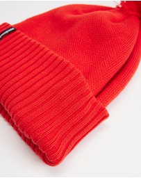 Patagonia - Powder Town Beanie