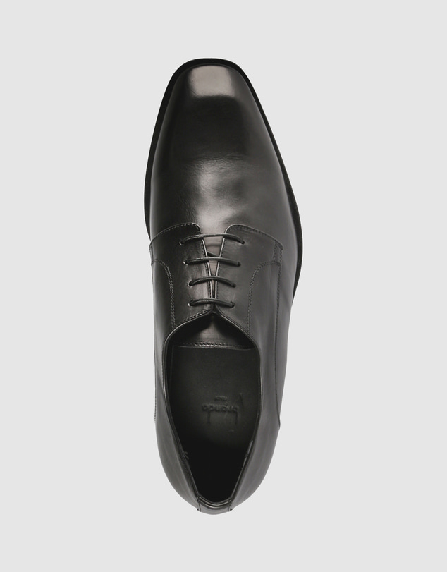 Brando - Ryan Lace Ups