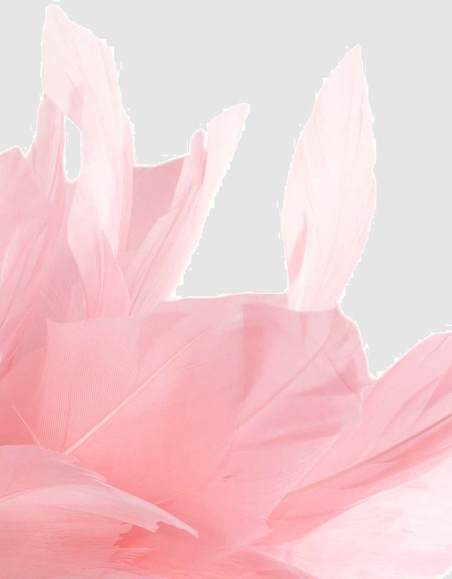 Max Alexander - Modern Pink Racing Fascinator