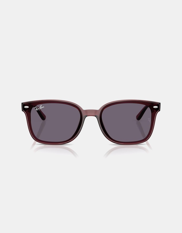 Ray-Ban - RB4461D