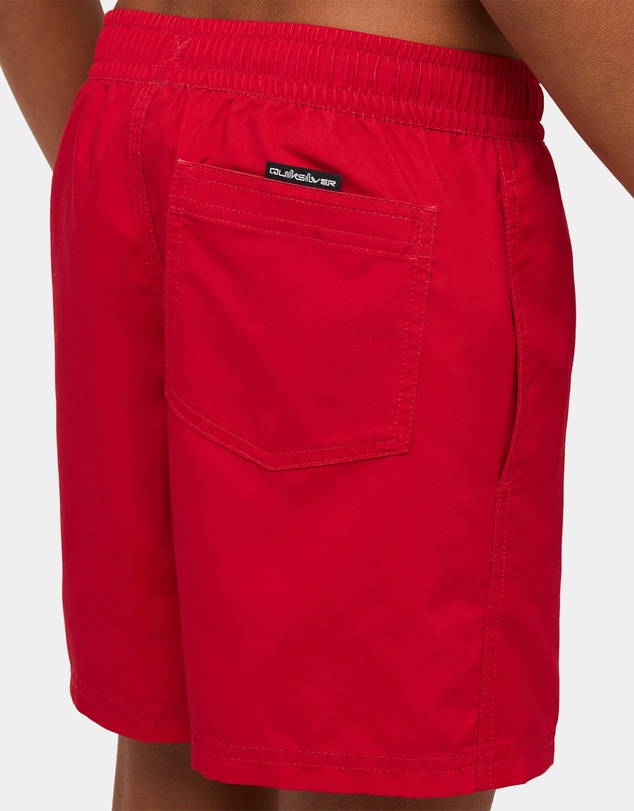Quiksilver - Boys 8 to 16 Everyday Vert 14