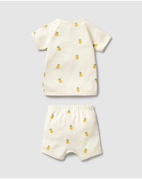 Wilson & Frenchy - Organic Pointelle Kimono Set - Babies
