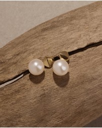 Najo - Mirage Yellow Gold Pearl Earring